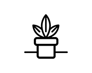 Strichzeichnung einer Pflanze im Topf.