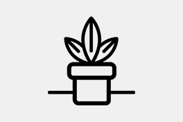 Strichzeichnung einer Pflanze im Topf.