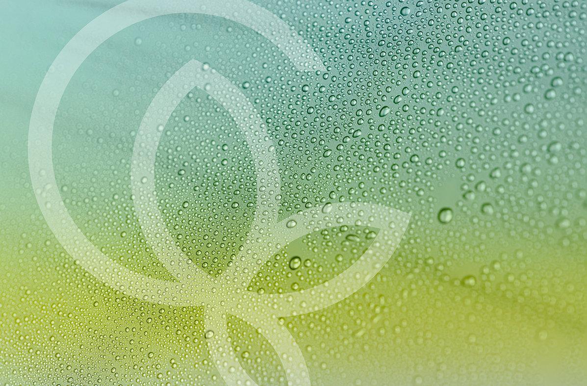 Eine Zeichnung als Logo, dargestellt aus drei Blättern