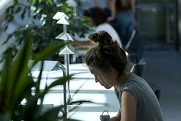 Personen am Arbeitstisch umgeben von vielen Pflanzen