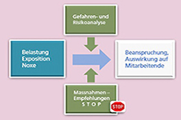 Ein Diagramm mit organisatorischen Abläufen