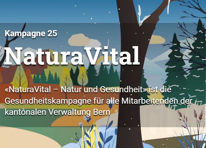 Natur mit Bäumen